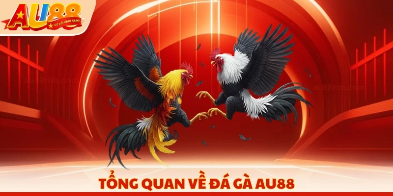 Tổng quan về đá gà AU88